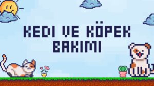 Kedi ve Köpek Bakımı – Evcil Dostlarınız İçin Temel İpuçları